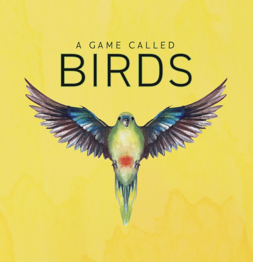 Book cover with a colorful bird illustration and 'A Game Called Birds' text on a yellow background