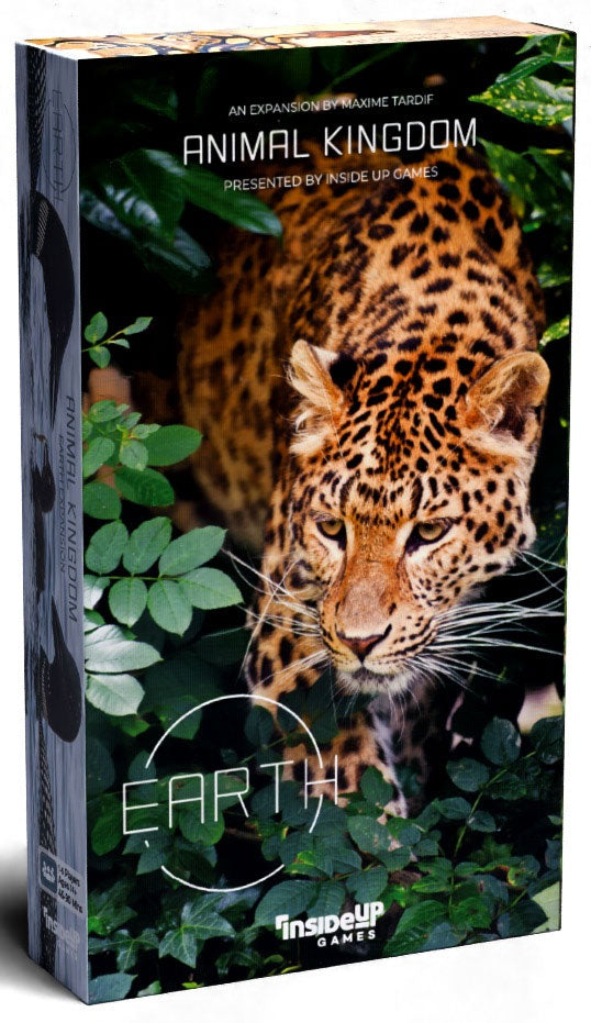 Inside up branded packaging with leopard on cover