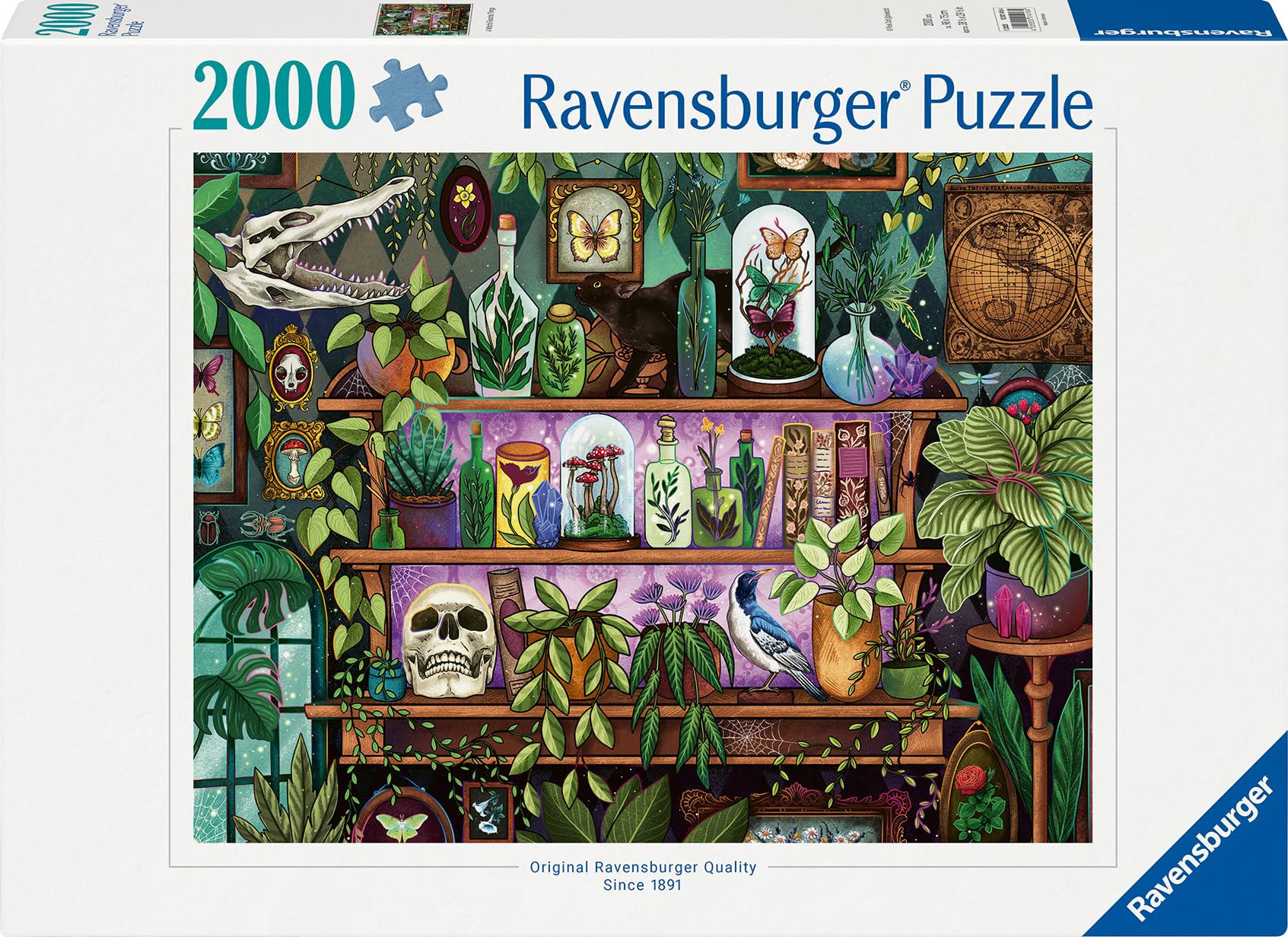 Ravensburger packaging with fully assembled puzzle image. Image shows, book case with skulls, plants, hardcover books, world map and more. 