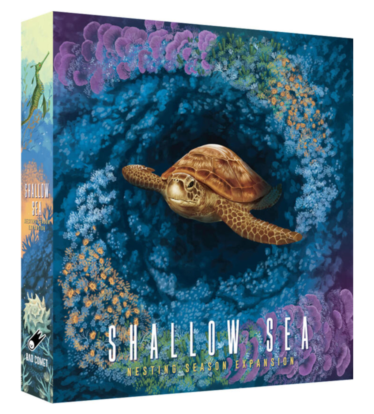 Board game expansion box titled 'Shallow Sea' with a turtle and underwater scene on the cover.